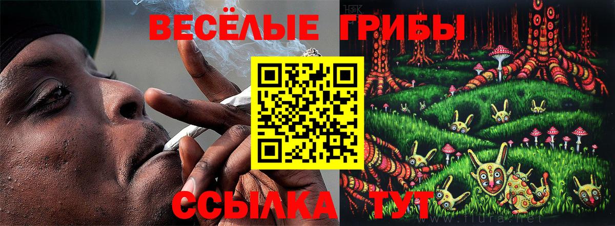 Галлюциногенные грибы MAGIC MUSHROOMS  Вход с VPN  Сунжа 